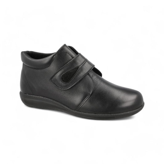 DB Ferry Black