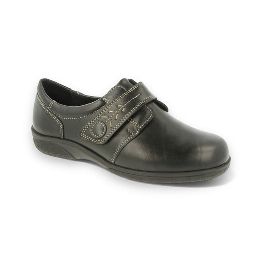 DB Wide Rory Black
